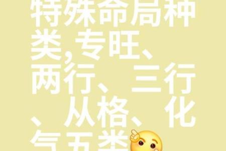 八字从旺格