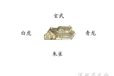 简单居家风水步骤，真的很实用