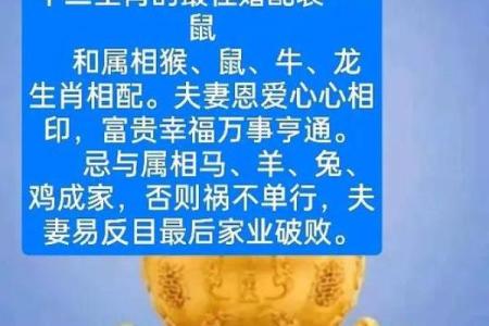 鼠狗生肖配对姻缘合适吗 鼠狗婚配的婚姻如何？