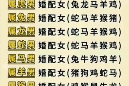 96年鼠男和98年虎女结婚好吗 性格配对如何