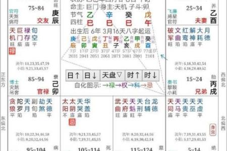 紫薇斗数看大运