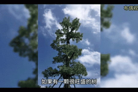 风水下葬时3种好征兆代表着好兆头