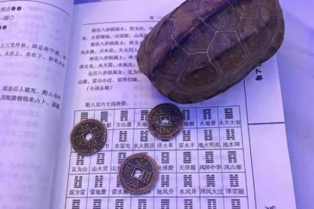 怎么看手相女八字命理详解
