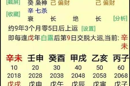 免费算八字看终生运程,终生运势测算