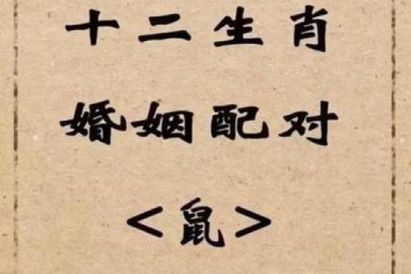 属鼠的女人和什么属相最配对 属鼠的女人和什么属相最配婚姻