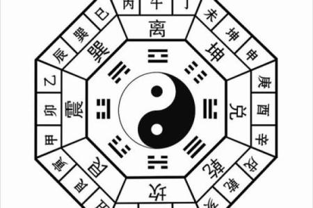 梅花易数排盘怎么解