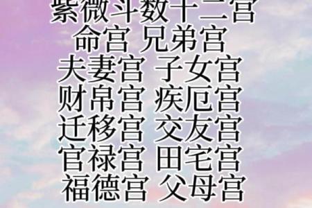 紫薇斗数预示什么