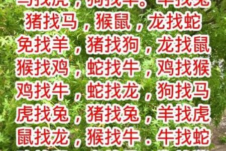 12生肖婚配属相配对查询，生肖配对查询表