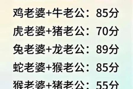 生肖配对：属狗的和什么属相最配