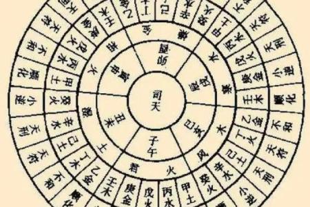 八字排盘详解破解版