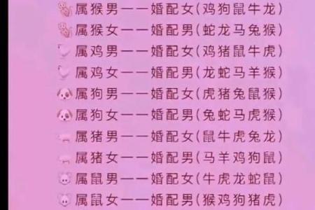 属兔和什么属相最配对 属兔和什么属相相冲