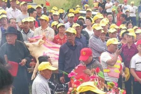 双猪双羊算命详解