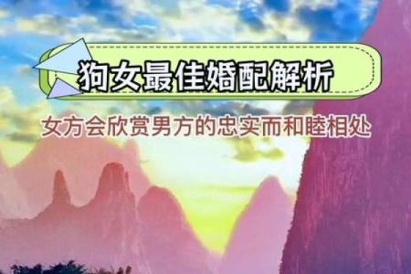 属狗的女人和什么属相最配对 属狗的女人和什么属相最配婚姻