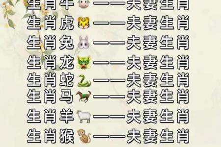 1994年属什么生肖的宝宝 1994年属什么生肖配对男