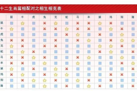 属猪正缘出现在哪年 属猪人婚姻配对表