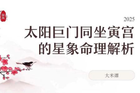 紫薇斗数的太阳是什么意思