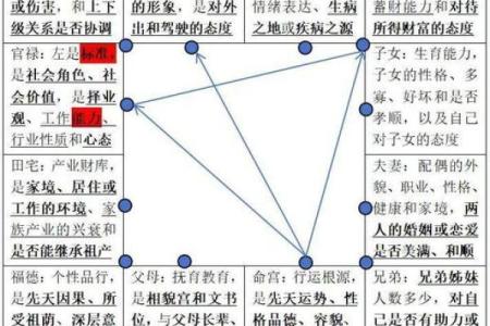 紫微斗数命盘12个宫位