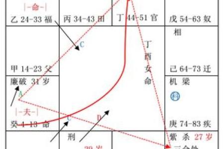 夫之子紫薇斗数