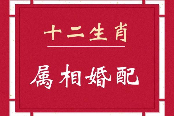夫妻最好的属相配对