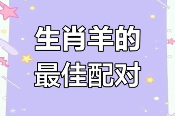 属羊的和什么属相配对