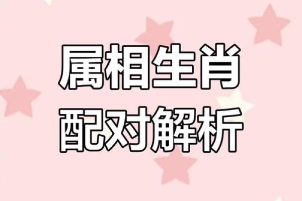 1962年属虎人和什么属相婚配好,1962年属虎的人婚姻配对详解