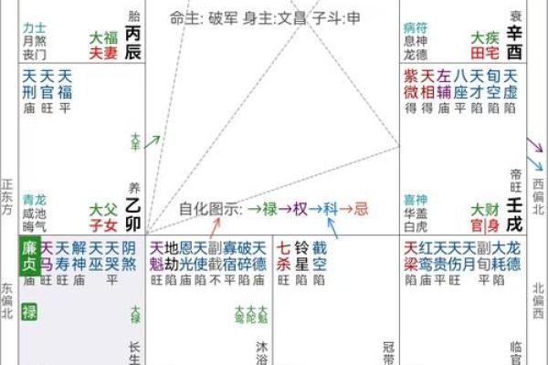 紫薇斗数命盘案例