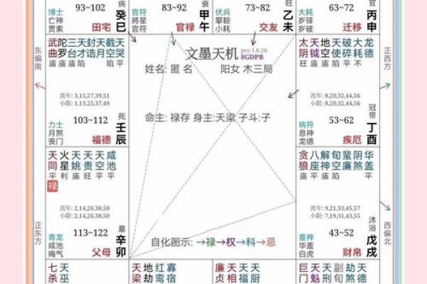 紫薇斗数看远行