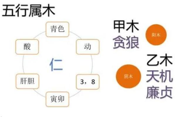 紫薇斗数木火通明