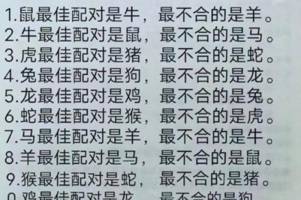 老鼠和什么属相最配对 老鼠和哪个属相最佳配对