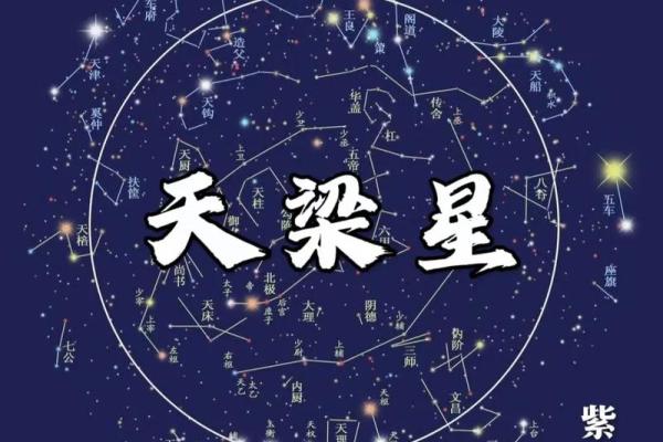 紫薇斗数紫薇梦