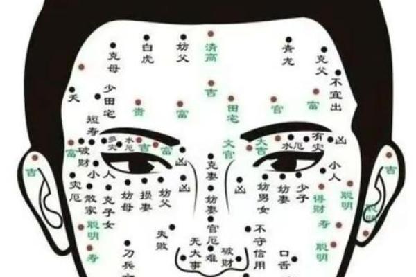 五官看面相算命图解女眼睛 眼睛看相算命图解