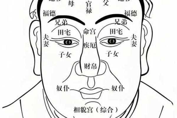 五官看面相算命图解女眼睛 眼睛看相算命图解