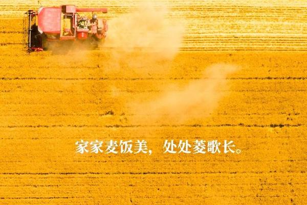 2024年芒种的财神方位在哪？芒种节气的三个物候现象