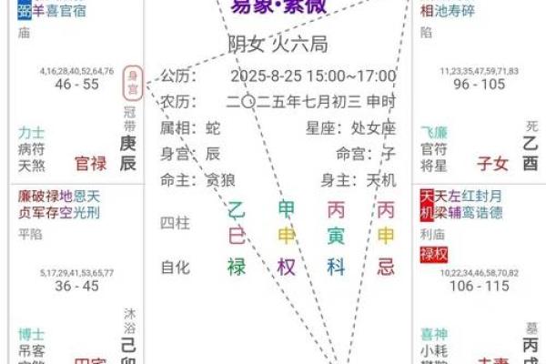 紫薇斗数 得怎么解释