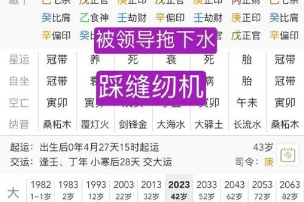 考公务员的八字命理