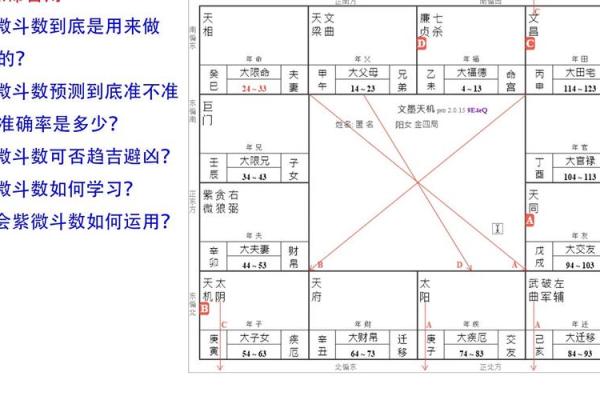 紫薇斗数速成