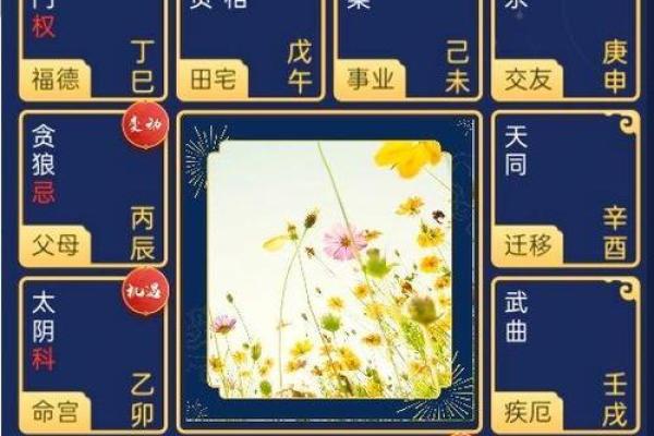 紫薇斗数速成