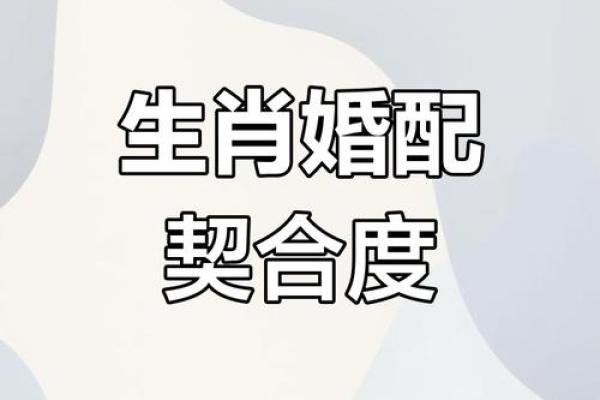 属鸡正缘出现在哪年 属鸡人婚姻配对表