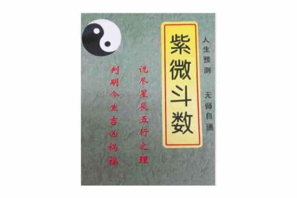 艺术紫薇斗数