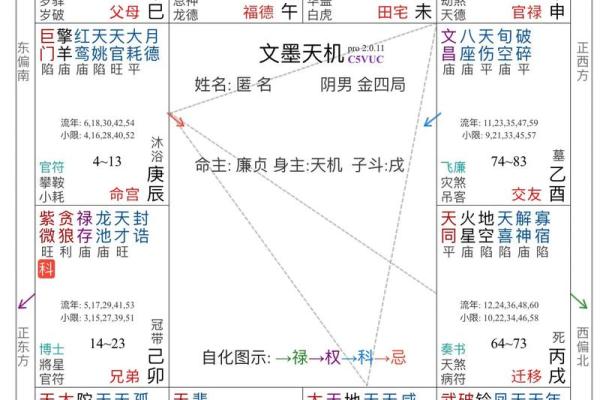 紫薇斗数行限详解