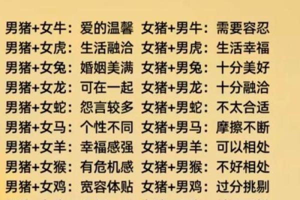 属猪男和属牛女的婚姻怎么样 属猪男和属牛男配对指数