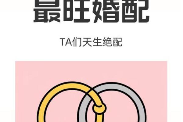 金牛座最适合配对哪一对夫妻