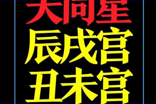 紫薇斗数大财星