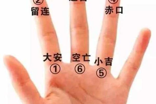 手掌印算命