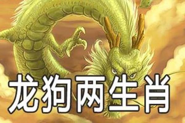 属龙和什么属相最配对 属龙和什么属相相冲