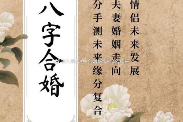 姻缘配对百分之几