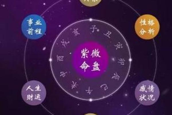 紫微斗数意外 紫微斗数意外伤害？