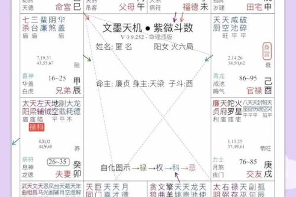 紫微斗数之各星曜所主行业：智商与考试