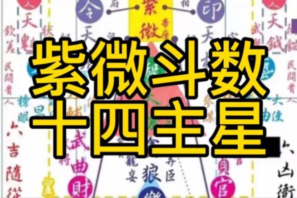 紫微斗数新字 紫微斗数讲堂？