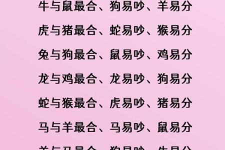 兔跟什么生肖配对最好 生肖兔最佳配对